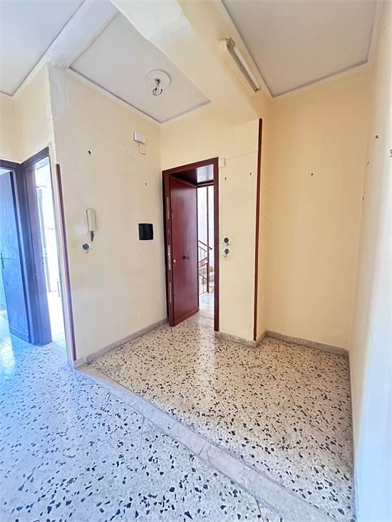 ingresso