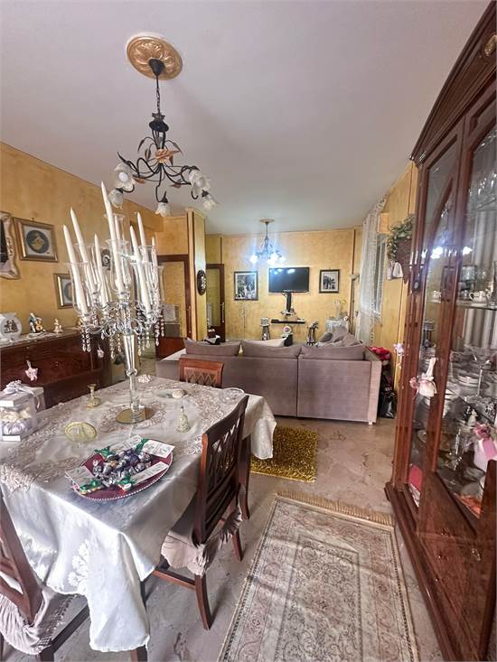 salone